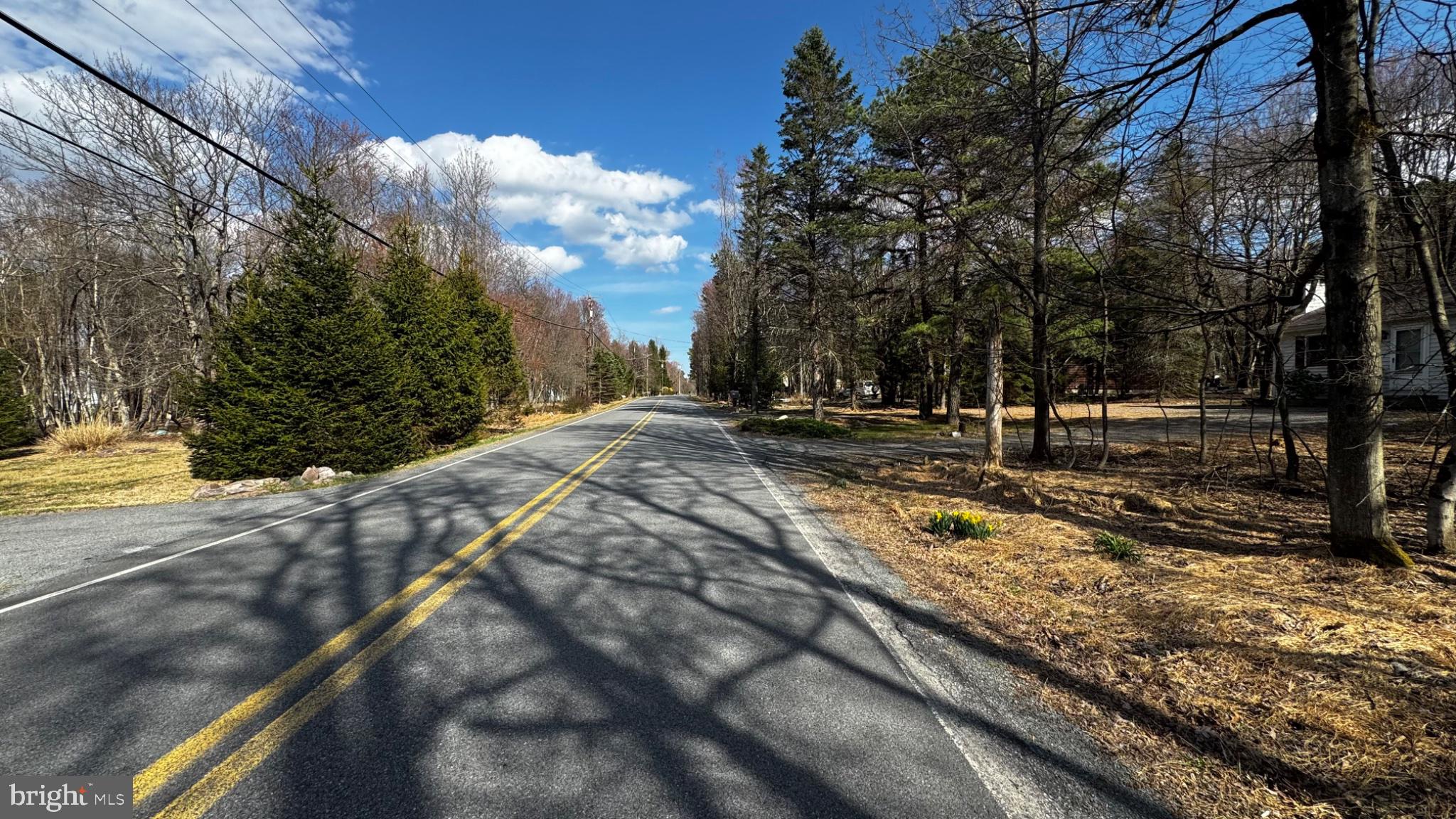 0 Stony Mountain Road Albrightsville, PA 18210 - Photo 18 of 24 Tranquil country road in springtime.
