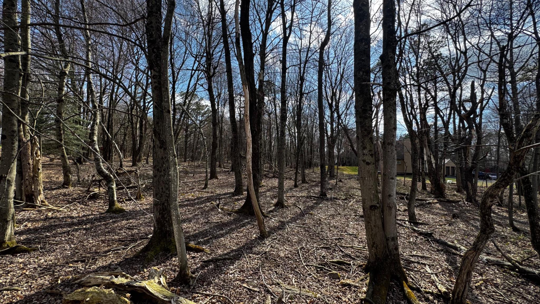 0 Stony Mountain Road Albrightsville, PA 18210 - Photo 2 of 24 EV1010 Stony Mountain Road