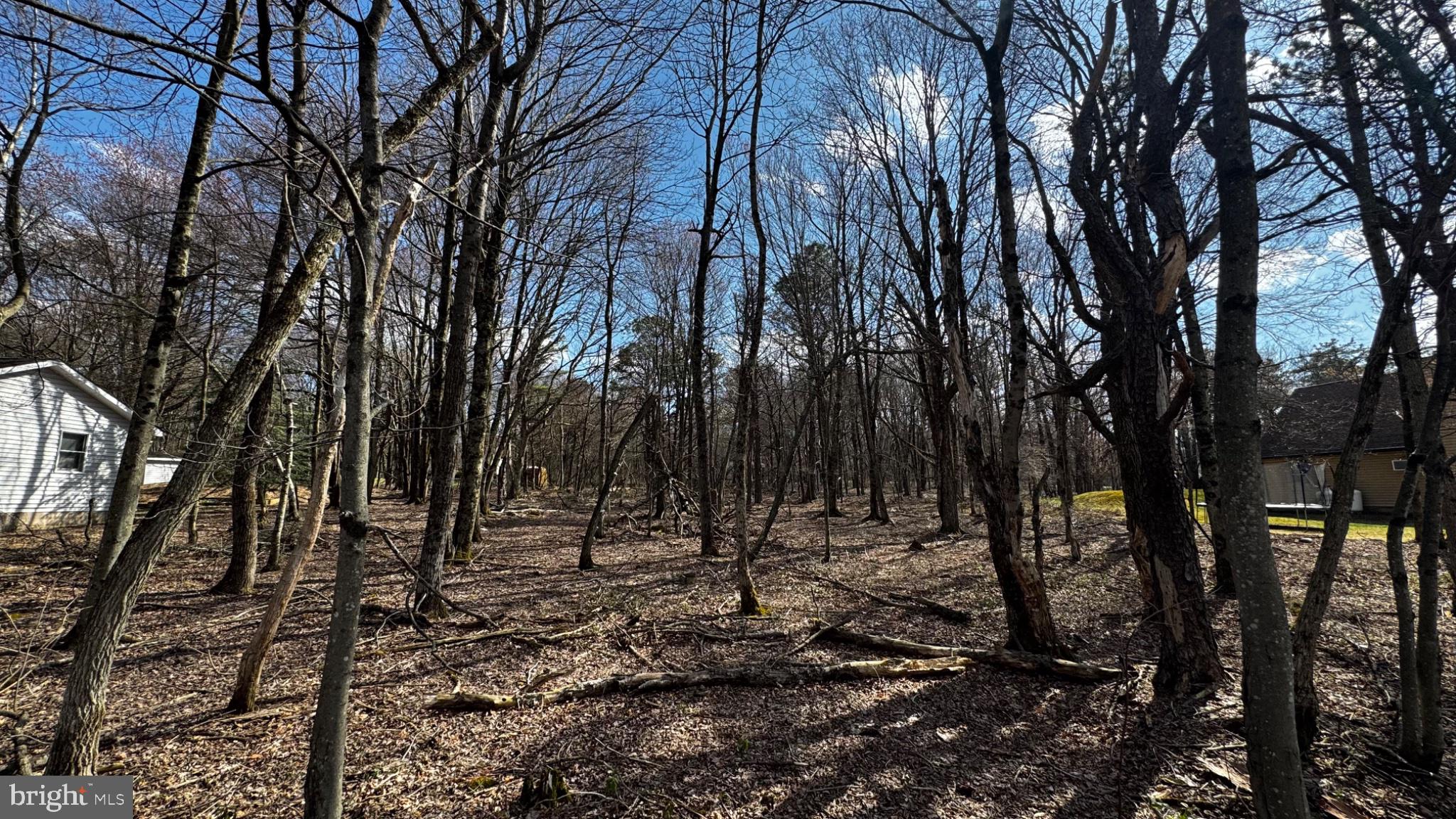 0 Stony Mountain Road Albrightsville, PA 18210 - Photo 4 of 24 Serene woodland retreat awaits you.
