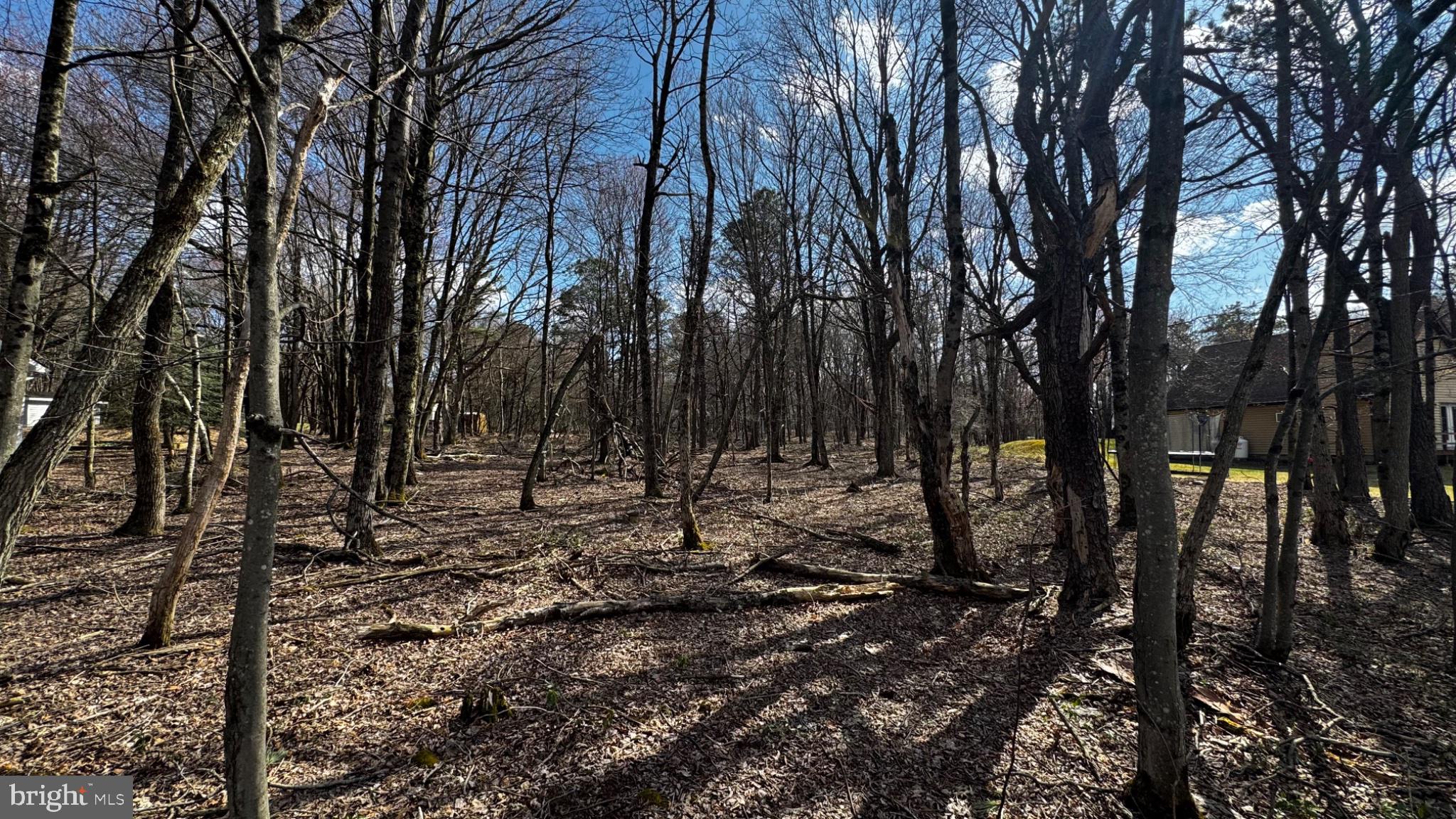 0 Stony Mountain Road Albrightsville, PA 18210 - Photo 6 of 24 Serene woodland retreat awaits discovery.