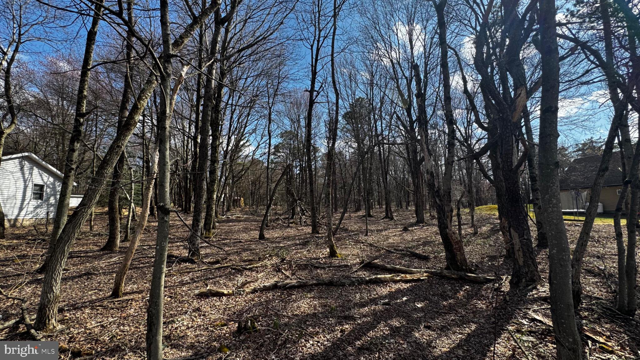 0 Stony Mountain Road Albrightsville, PA 18210 - Photo 7 of 24 Serene woodland retreat awaits you.