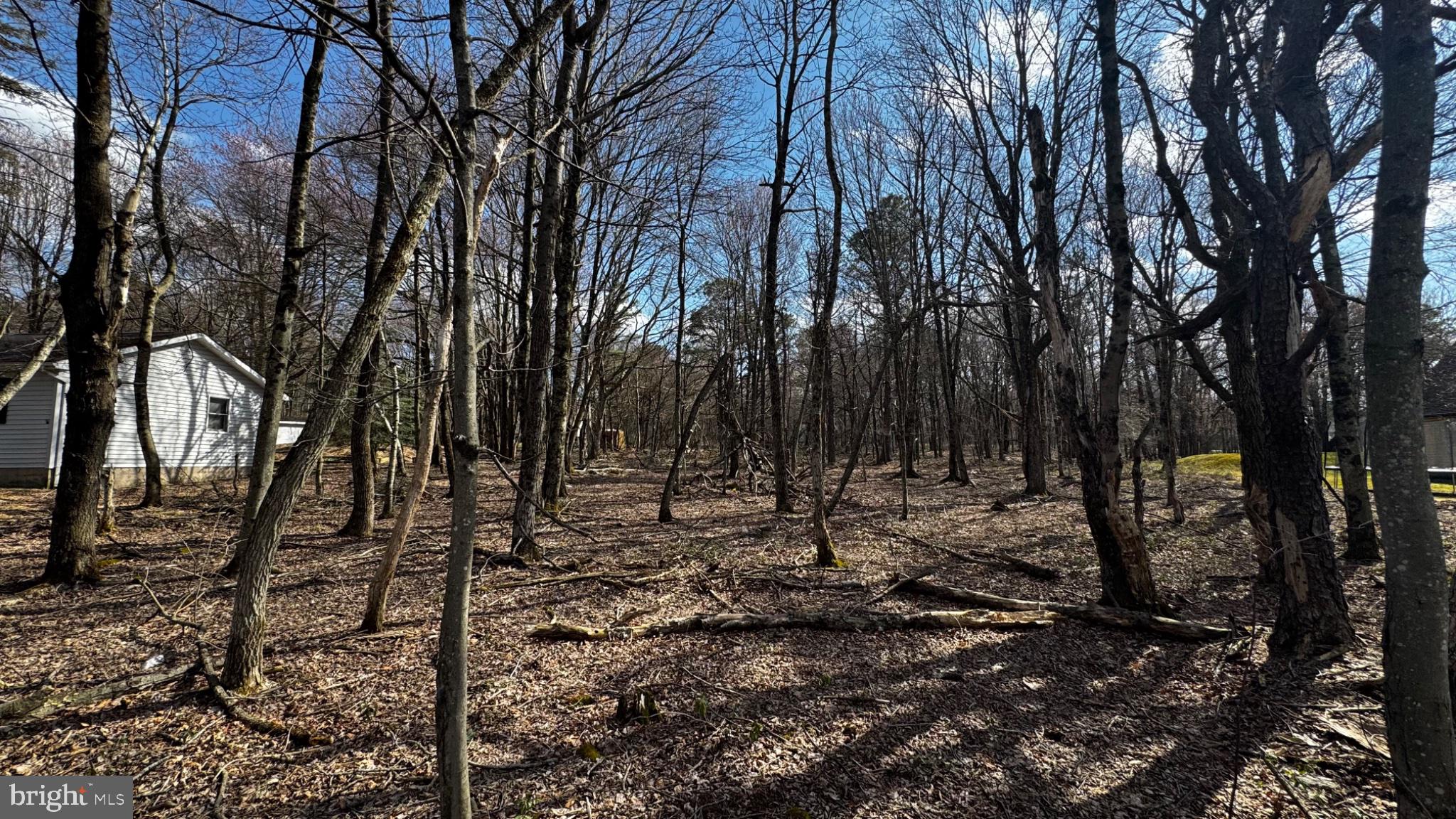 0 Stony Mountain Road Albrightsville, PA 18210 - Photo 8 of 24 Serene woodland retreat awaits discovery.