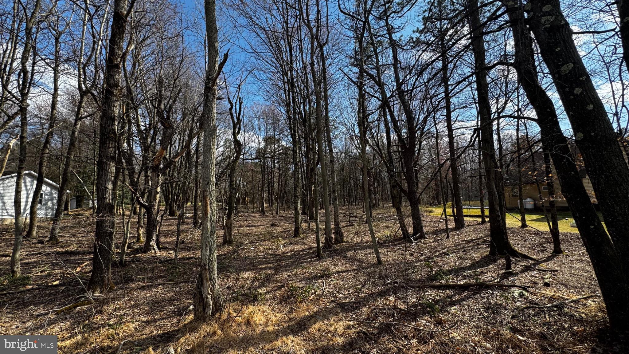 0 Stony Mountain Road Albrightsville, PA 18210 - Photo 10 of 24 Serene woodland retreat awaits discovery.