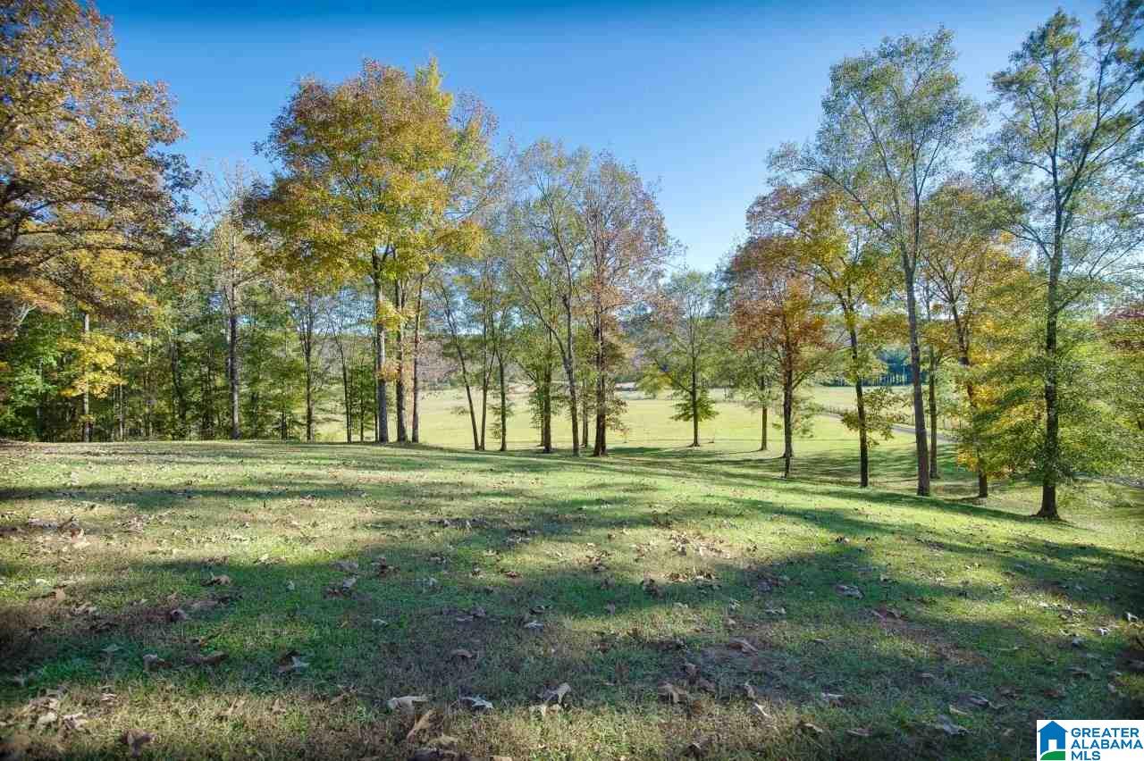 6145 Shoal Creek Road Ashville, AL 35953 - Photo 6 of 30