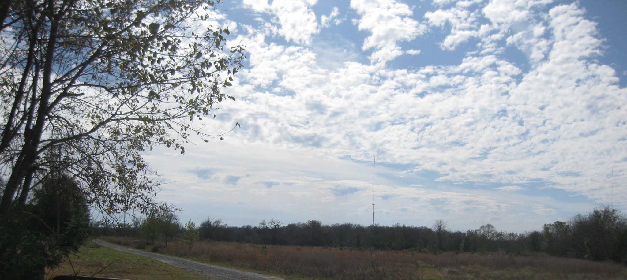 299 McCrary Road Lebanon, TN 37090 - Photo 1 of 4 a view of city and trees