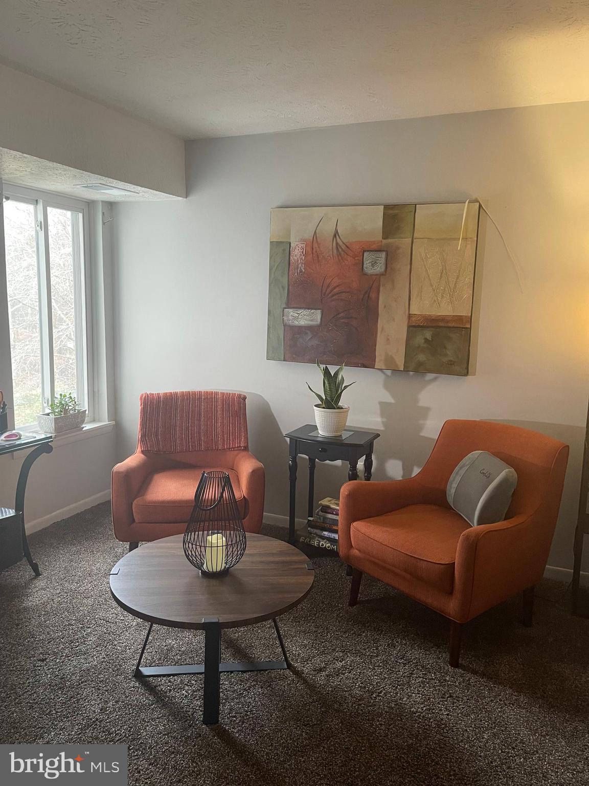 8015 Mandan Road, Unit 202 Greenbelt, MD 20770 - Photo 44 of 52 a living room with furniture a rug and a window