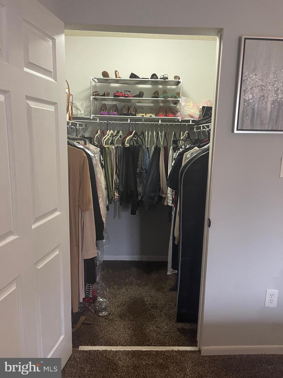 8015 Mandan Road, Unit 202 Greenbelt, MD 20770 - Photo 52 of 52 a view of a walk in closet