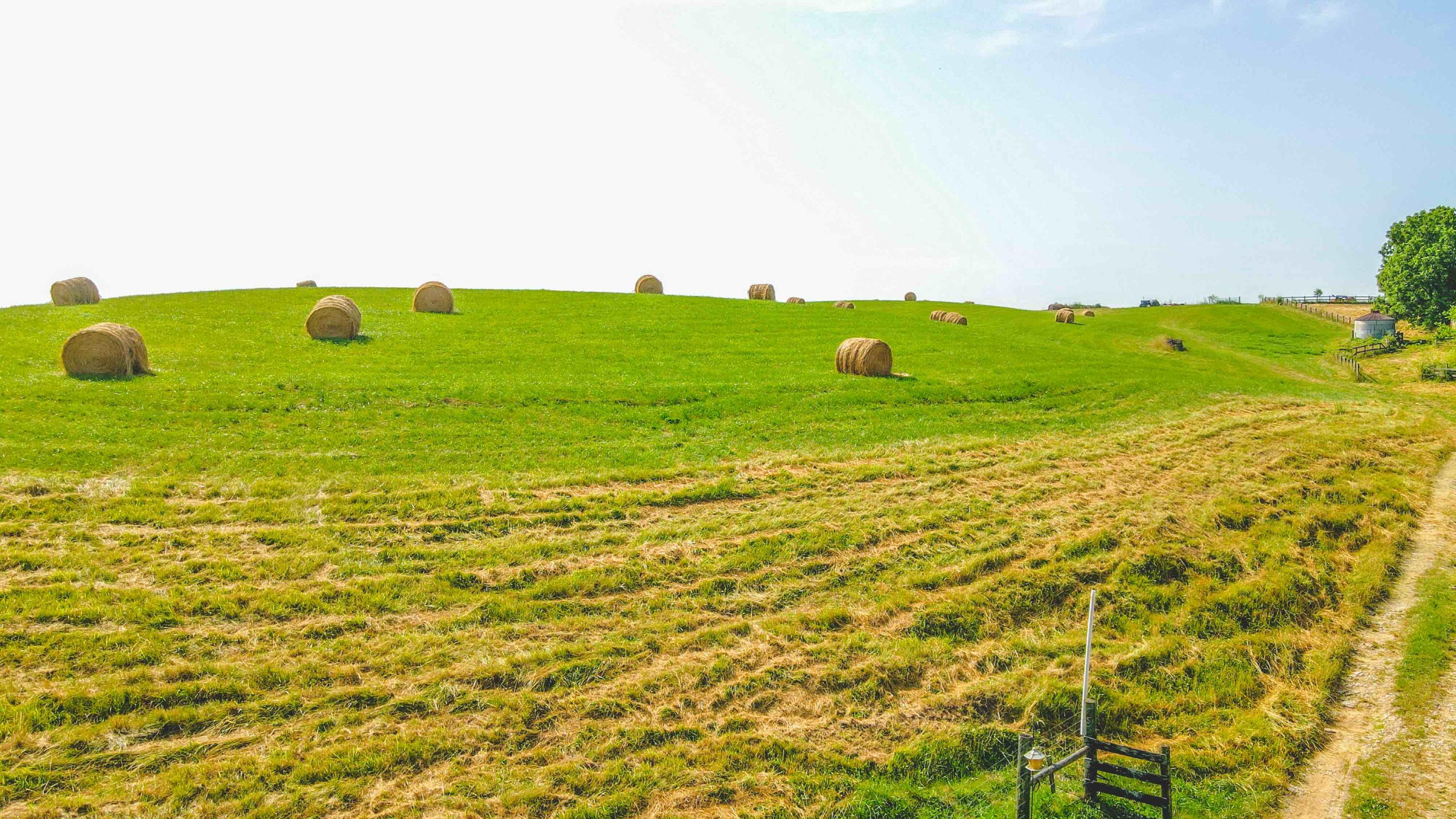 1685 Lexington Road Lancaster, KY 40444 - Photo 7 of 81 field 1