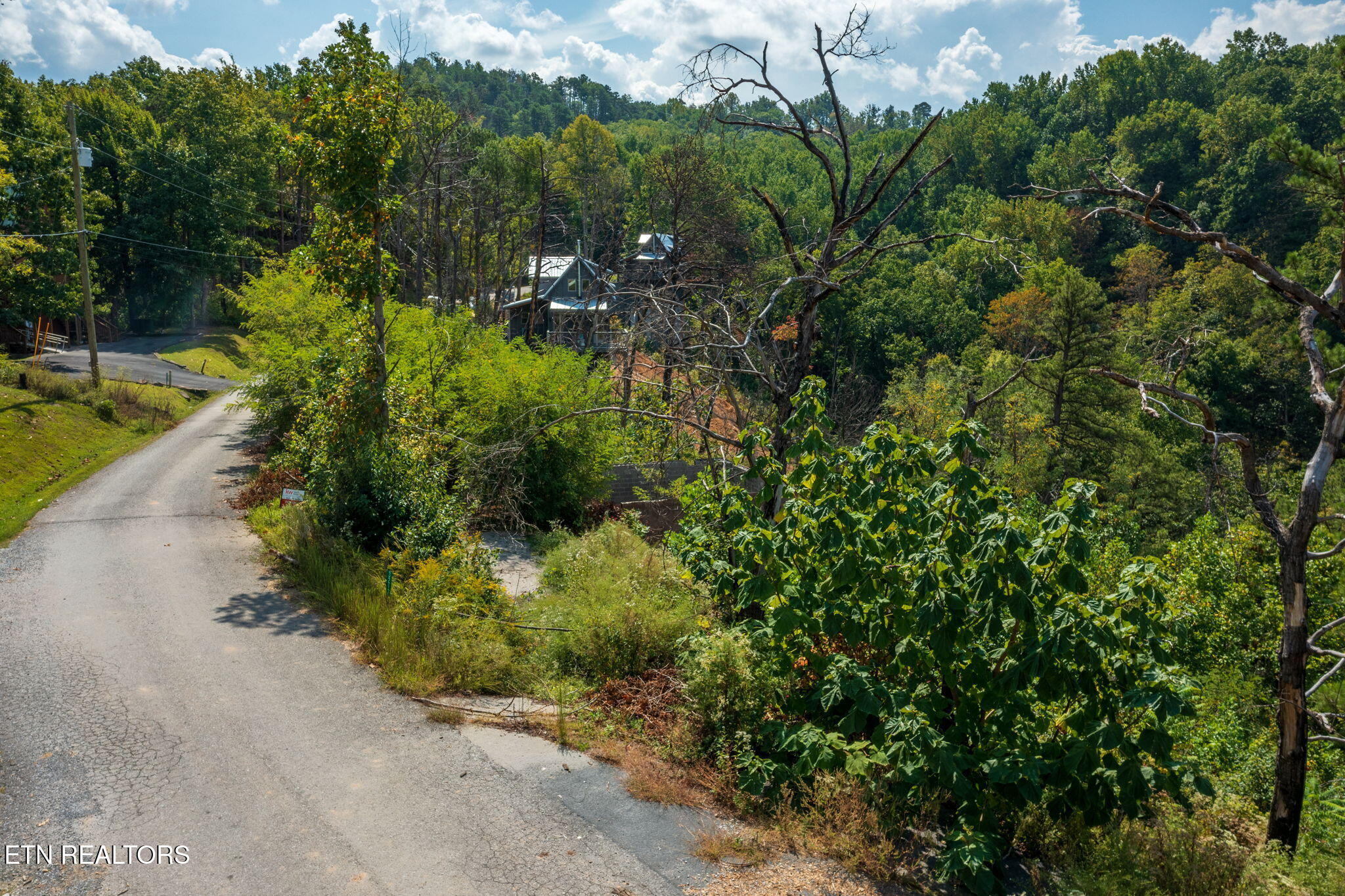 3217 Emerald Springs Loop Sevierville, TN 37862 - Photo 20 of 30 homesandvideos aerials-9790