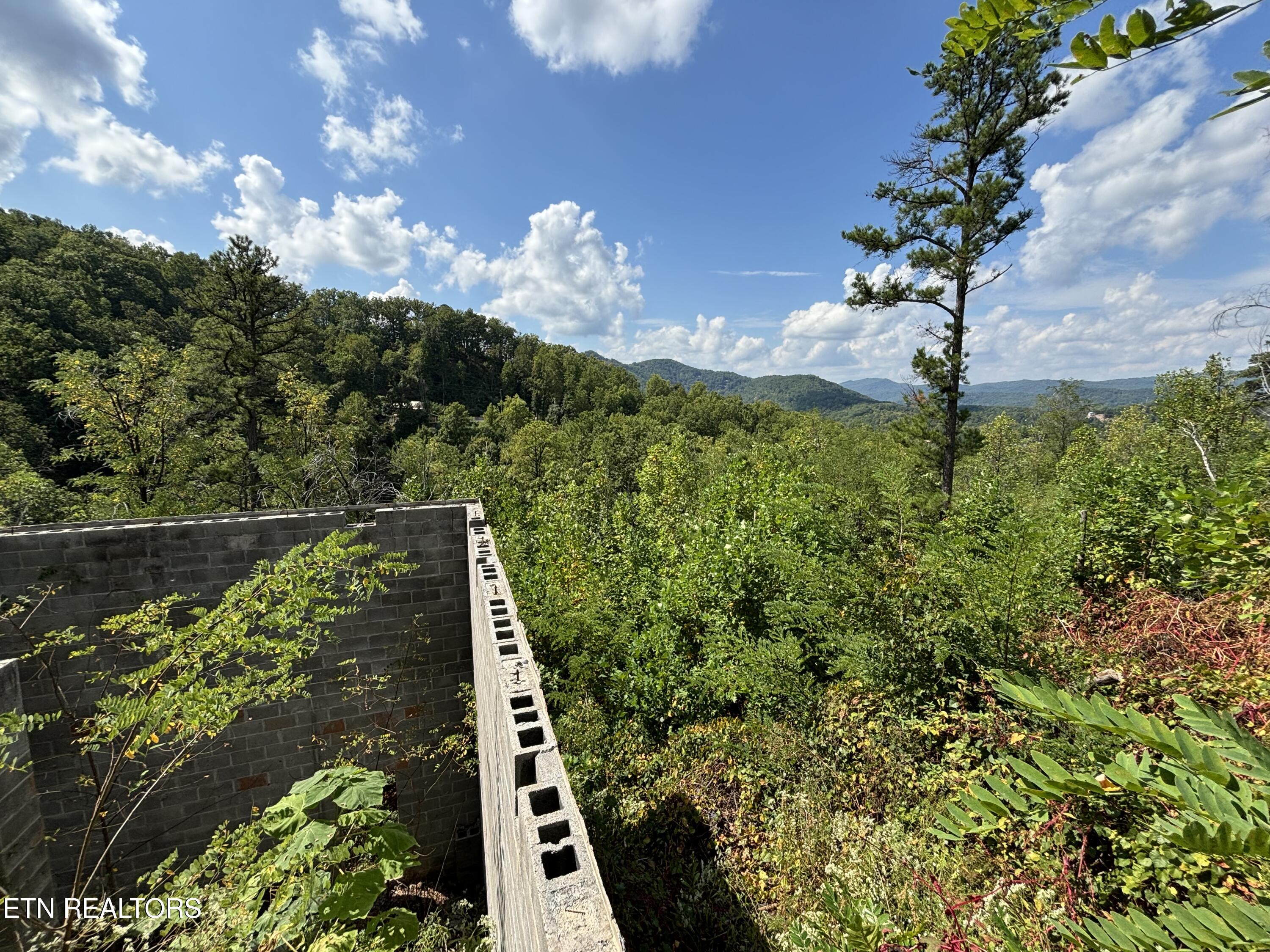 3217 Emerald Springs Loop Sevierville, TN 37862 - Photo 22 of 30 Photo Sep 23 2024, 1 23 19 PM