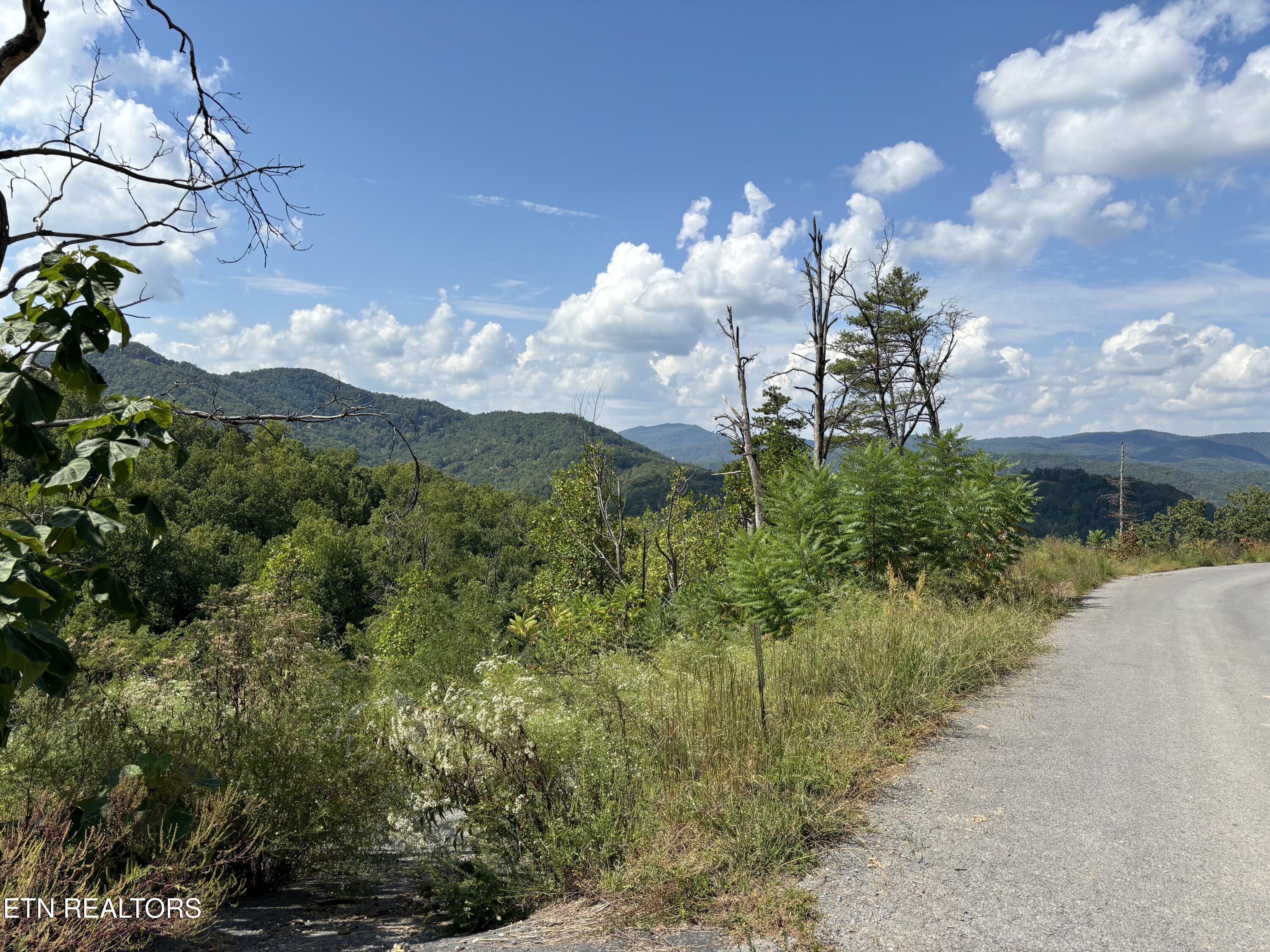 3217 Emerald Springs Loop Sevierville, TN 37862 - Photo 24 of 30 Photo Sep 23 2024, 1 26 00 PM