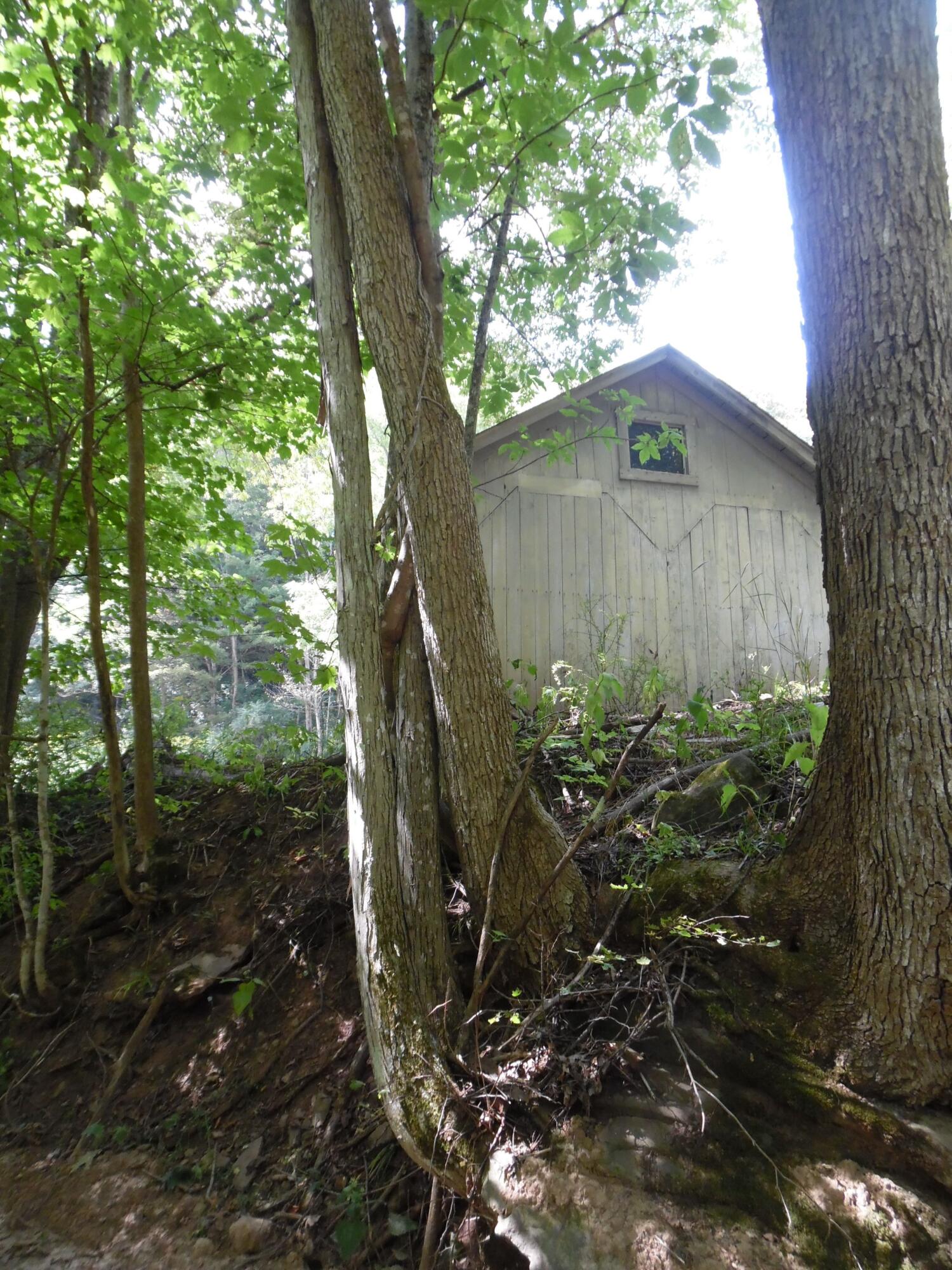 6234 Edray Road Cass, WV 24927 - Photo 3 of 66 Gallery Image 3