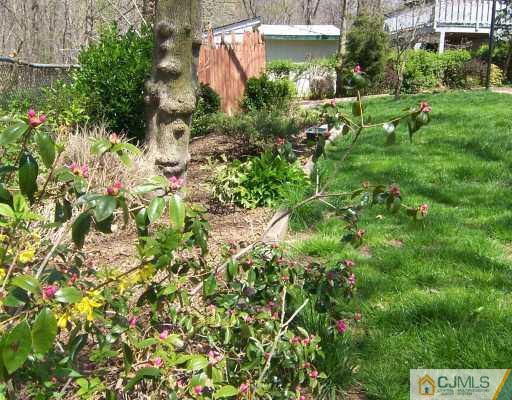 46 Winding Road Iselin, NJ 08830 - Photo 9 of 10 Gallery Image 9