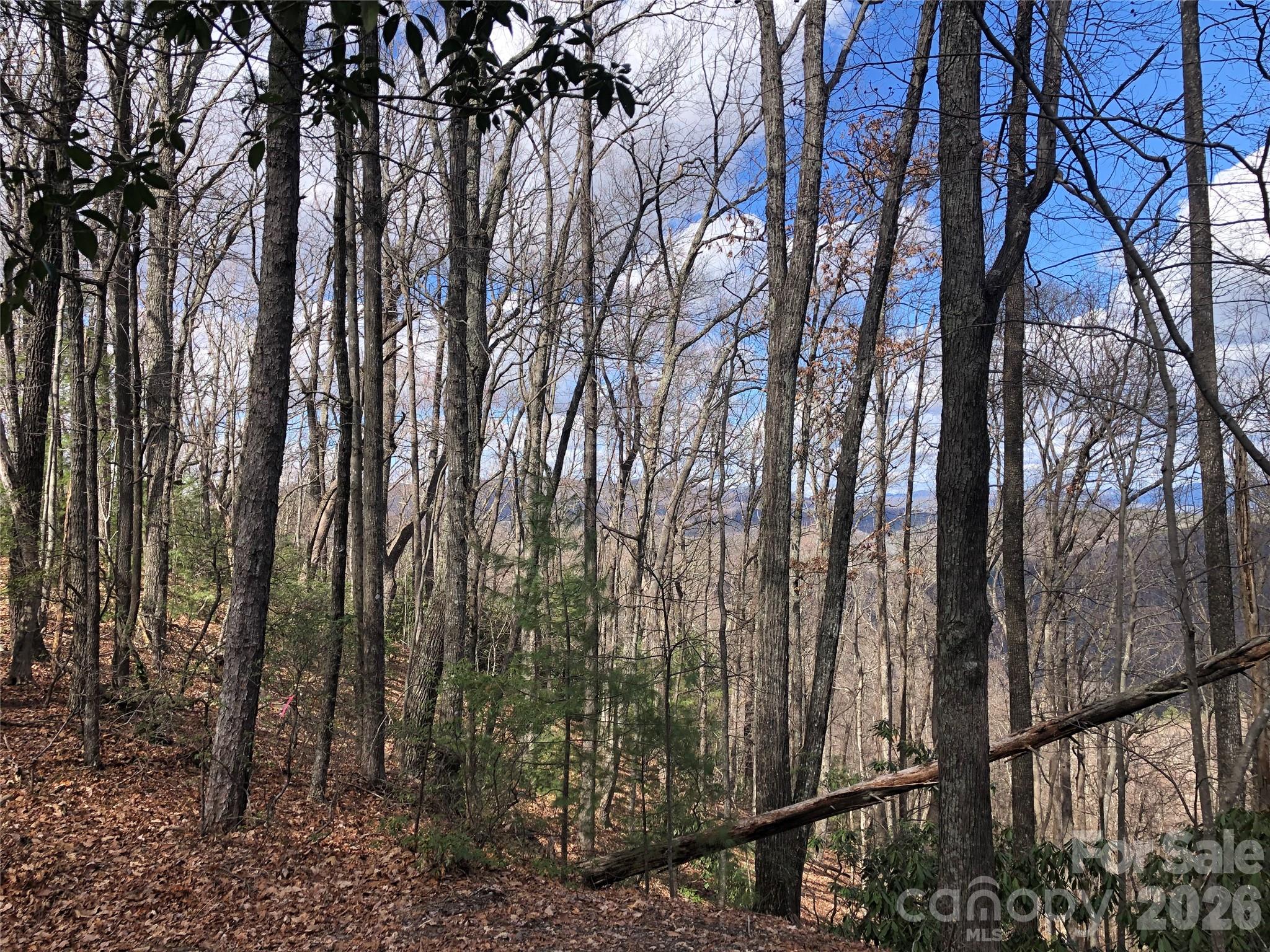 Tbd Bobcat Mountain Road, Unit 21 Purlear, NC 28665 - Photo 1 of 41