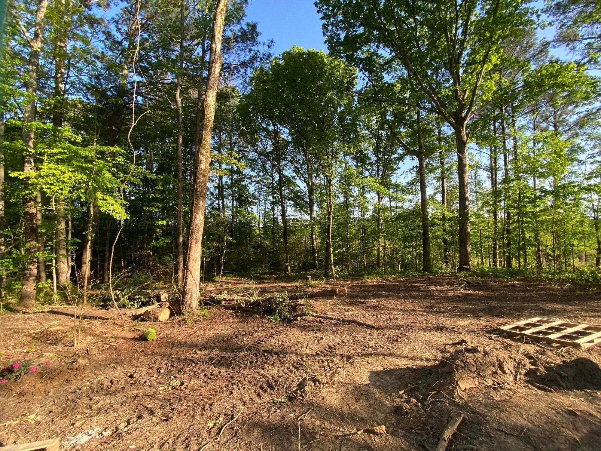 351 Edgil Road Jasper, AL 35503 - Photo 10 of 14 Gallery Image 10