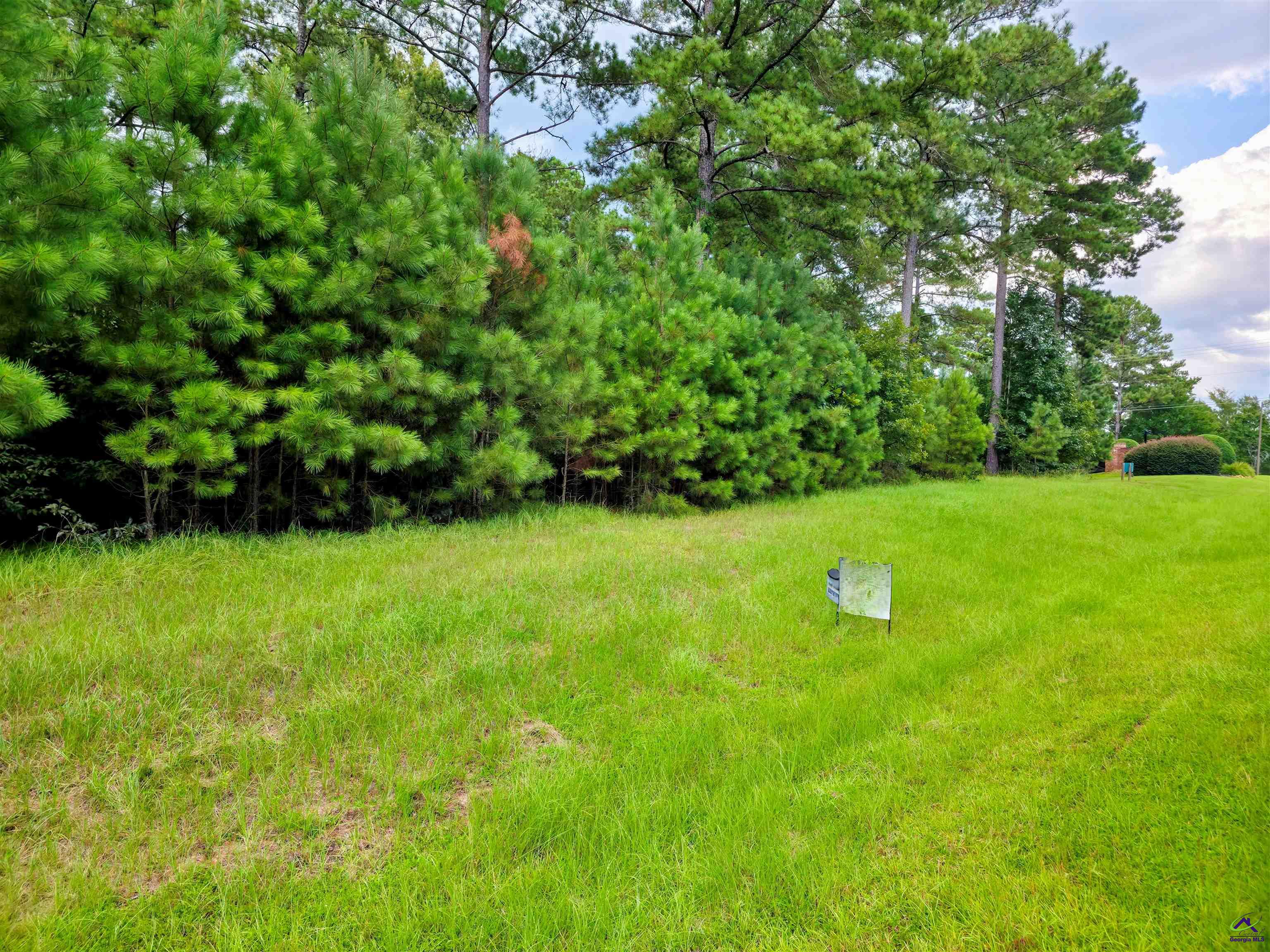 5.41-acres) Redridge Lane Perry, GA 31069 - Photo 4 of 9