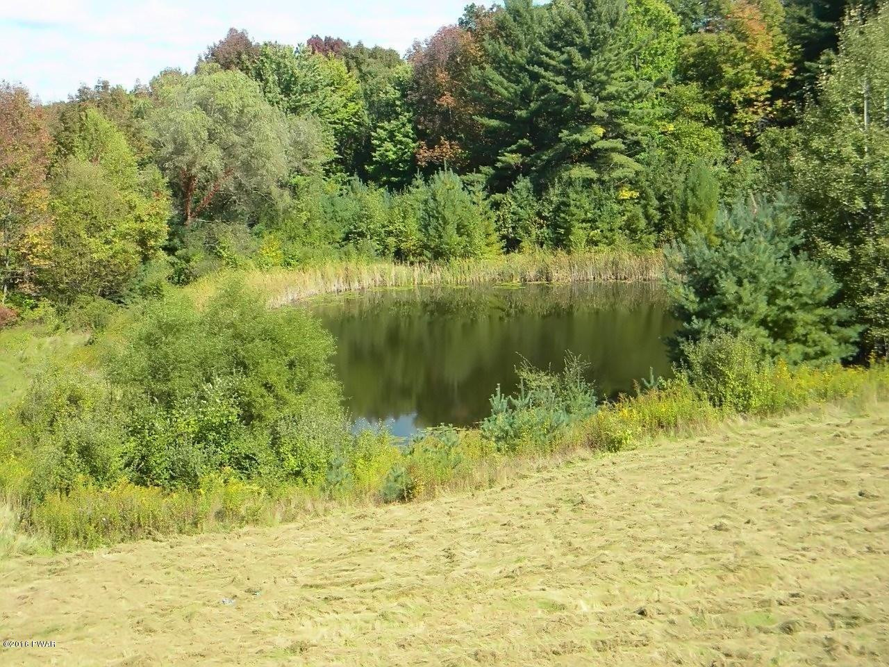 106 Hoadleys Road Hawley, PA 18428 - Photo 30 of 33 27-pond