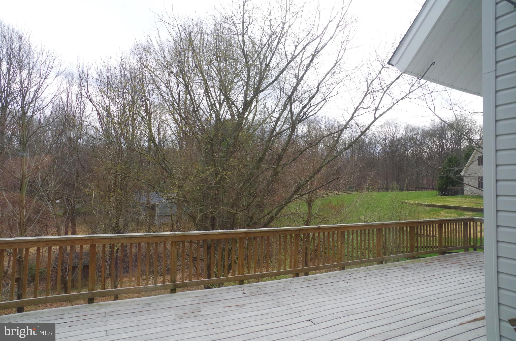 10929 Beach Mill Road Great Falls, VA 22066 - Photo 18 of 18 Deck