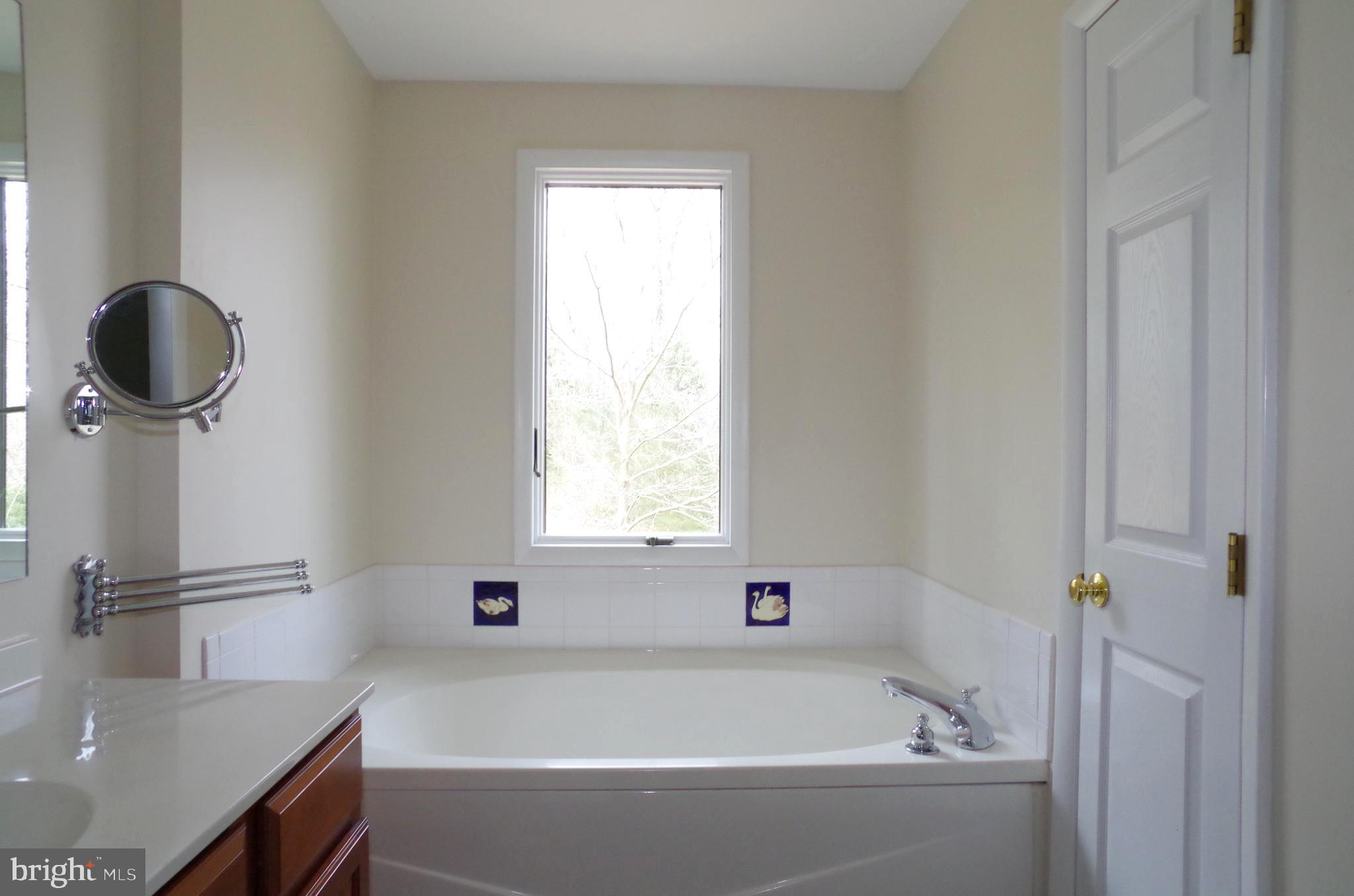 10929 Beach Mill Road Great Falls, VA 22066 - Photo 9 of 18 Primary Full Bathroom