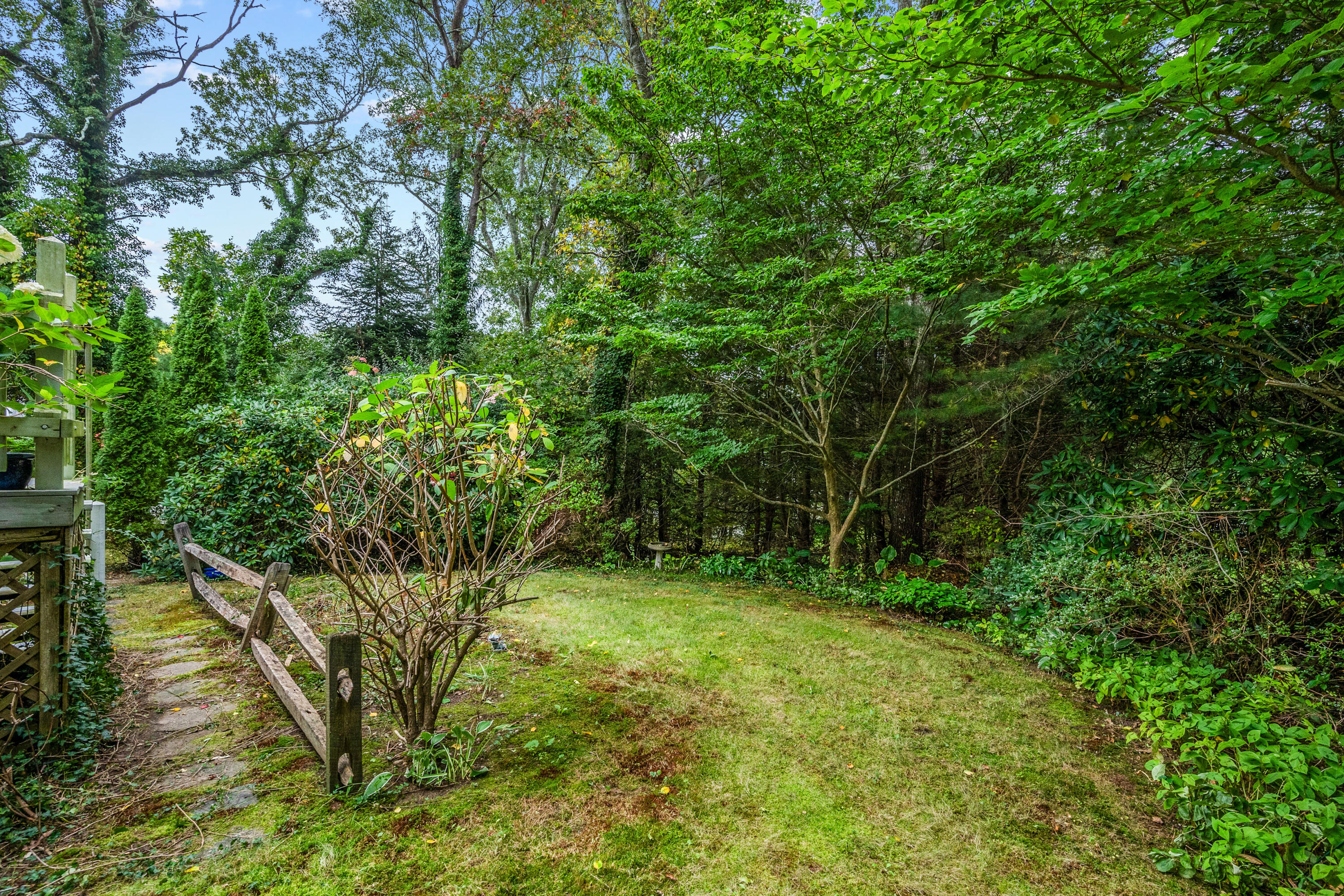 33 Oxner Road Centerville, MA 02632 - Photo 26 of 26 a view of lush green forest