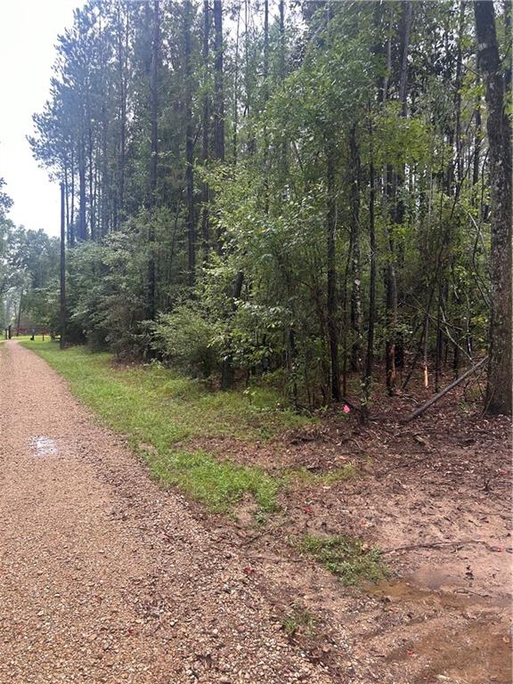 0 South Bennett Road Independence, LA 70443 - Photo 3 of 6