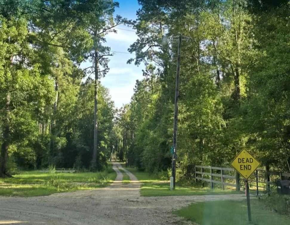 0 South Bennett Road Independence, LA 70443 - Photo 4 of 6