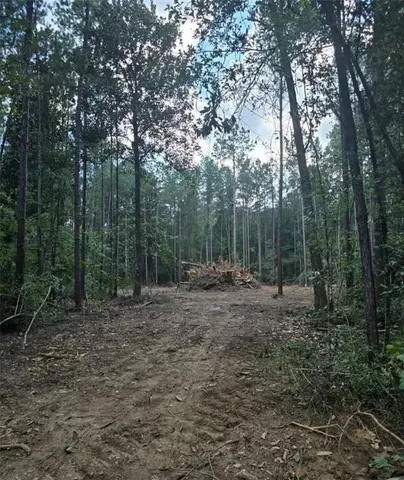 $130,000 | 0 South Bennett Road, Independence, LA 70443