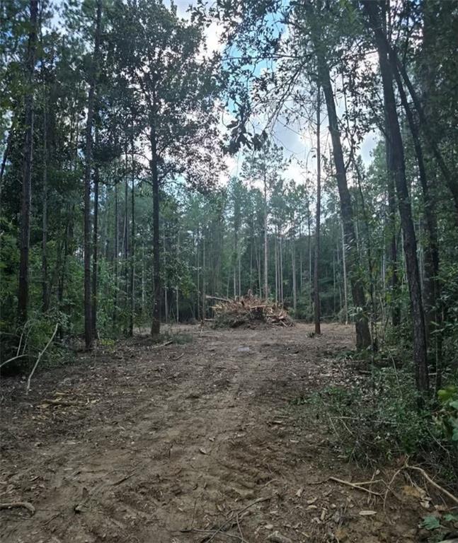 0 South Bennett Road Independence, LA 70443 - Photo 6 of 6