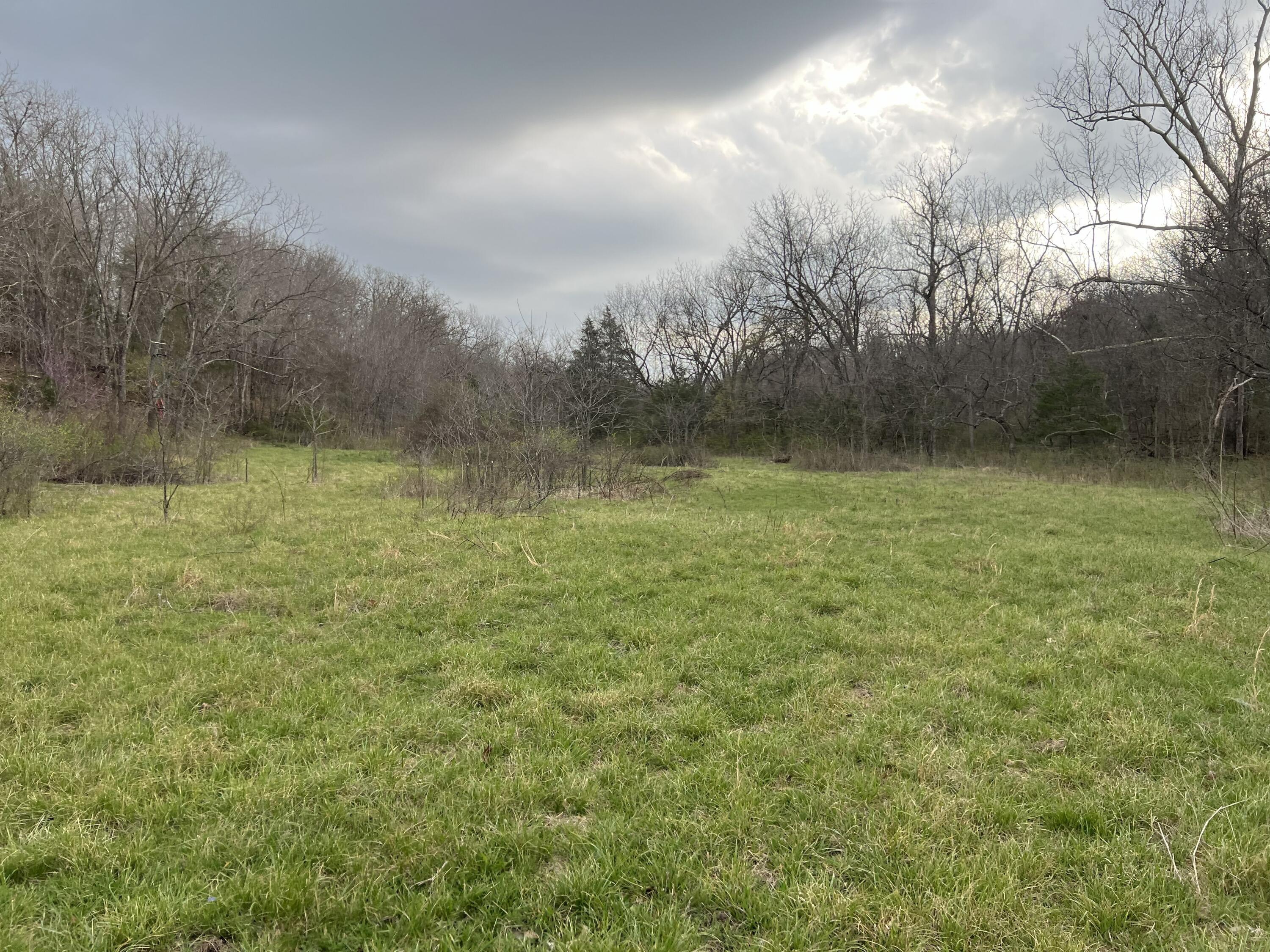 0 Curtner Road Norwood, MO 65717 - Photo 5 of 12 Curtner 9