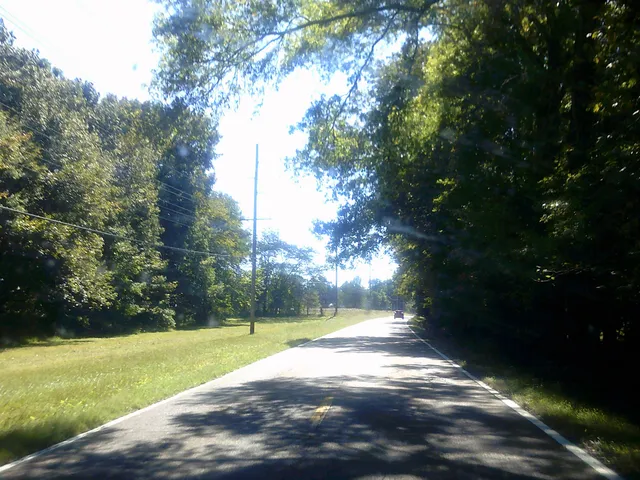 a view of a yard with a fountain