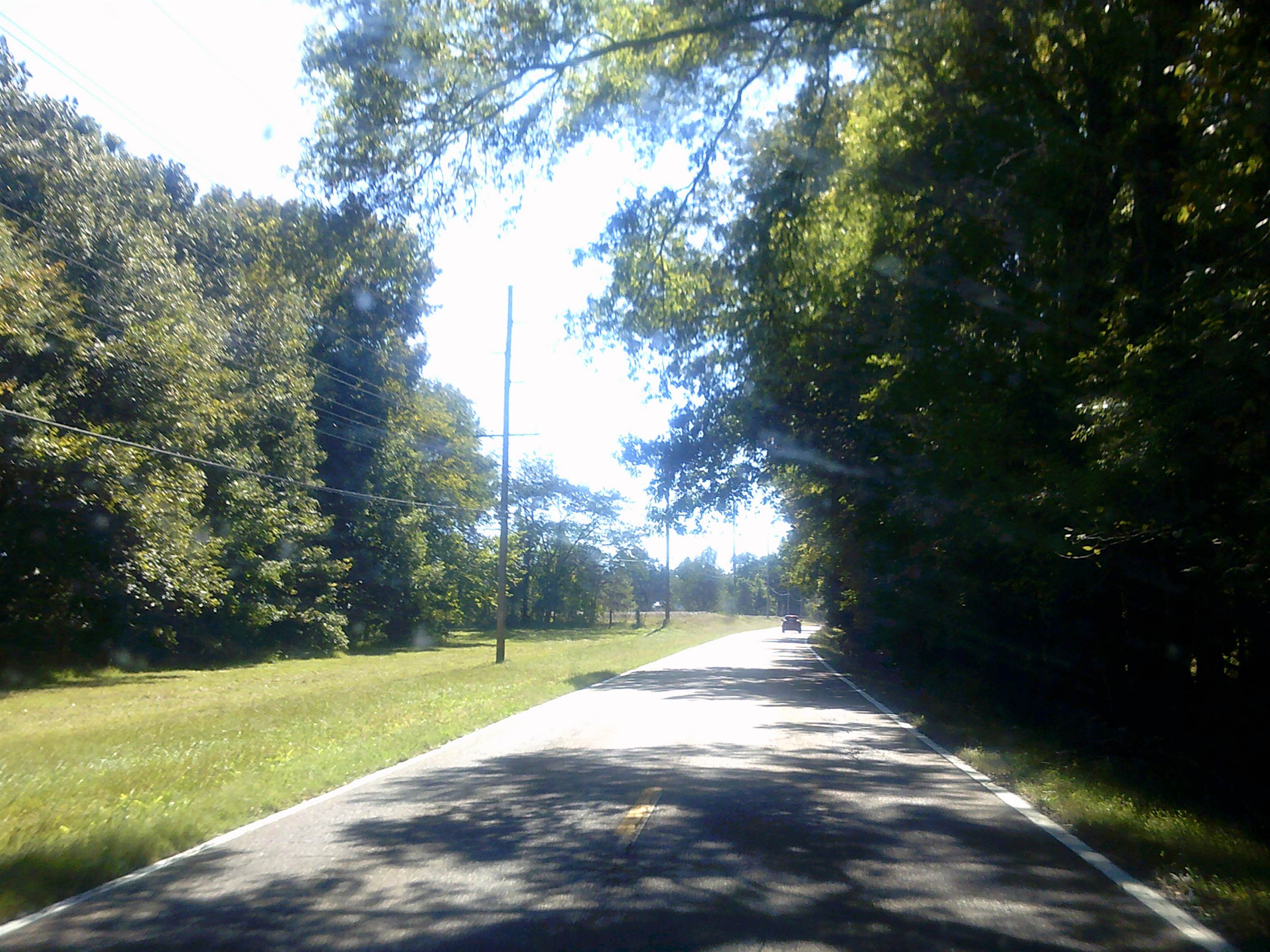 45 Cheairs Lane Grand Junction, TN 38039 - Photo 3 of 9 a view of a yard with a fountain
