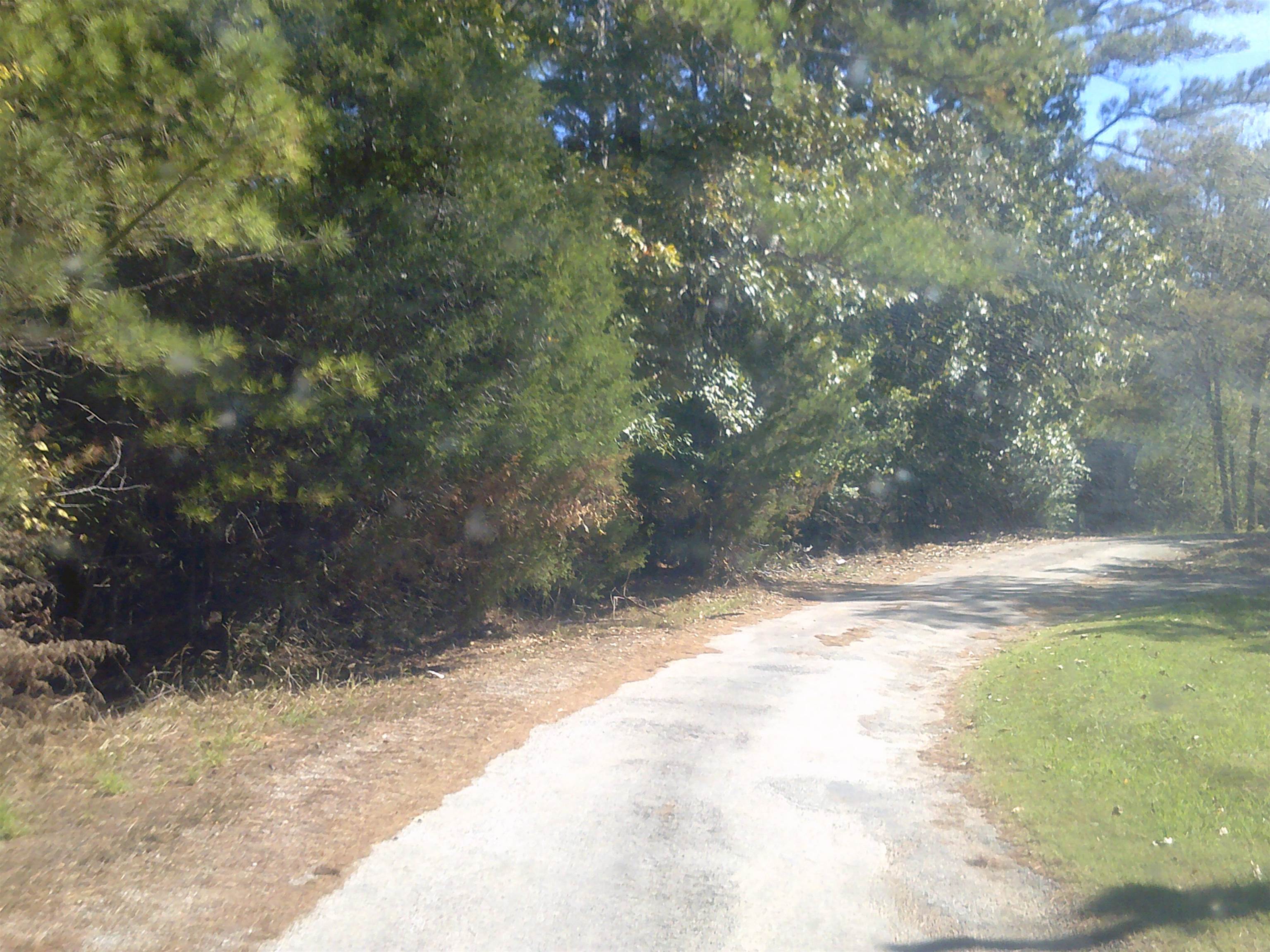 45 Cheairs Lane Grand Junction, TN 38039 - Photo 4 of 9 a view of yard