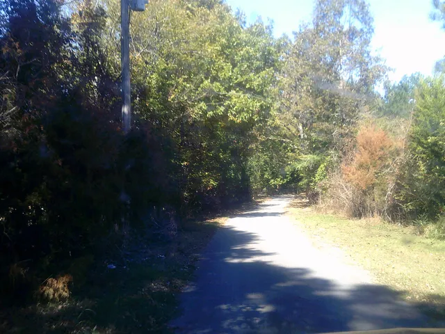a view of lake background with green space