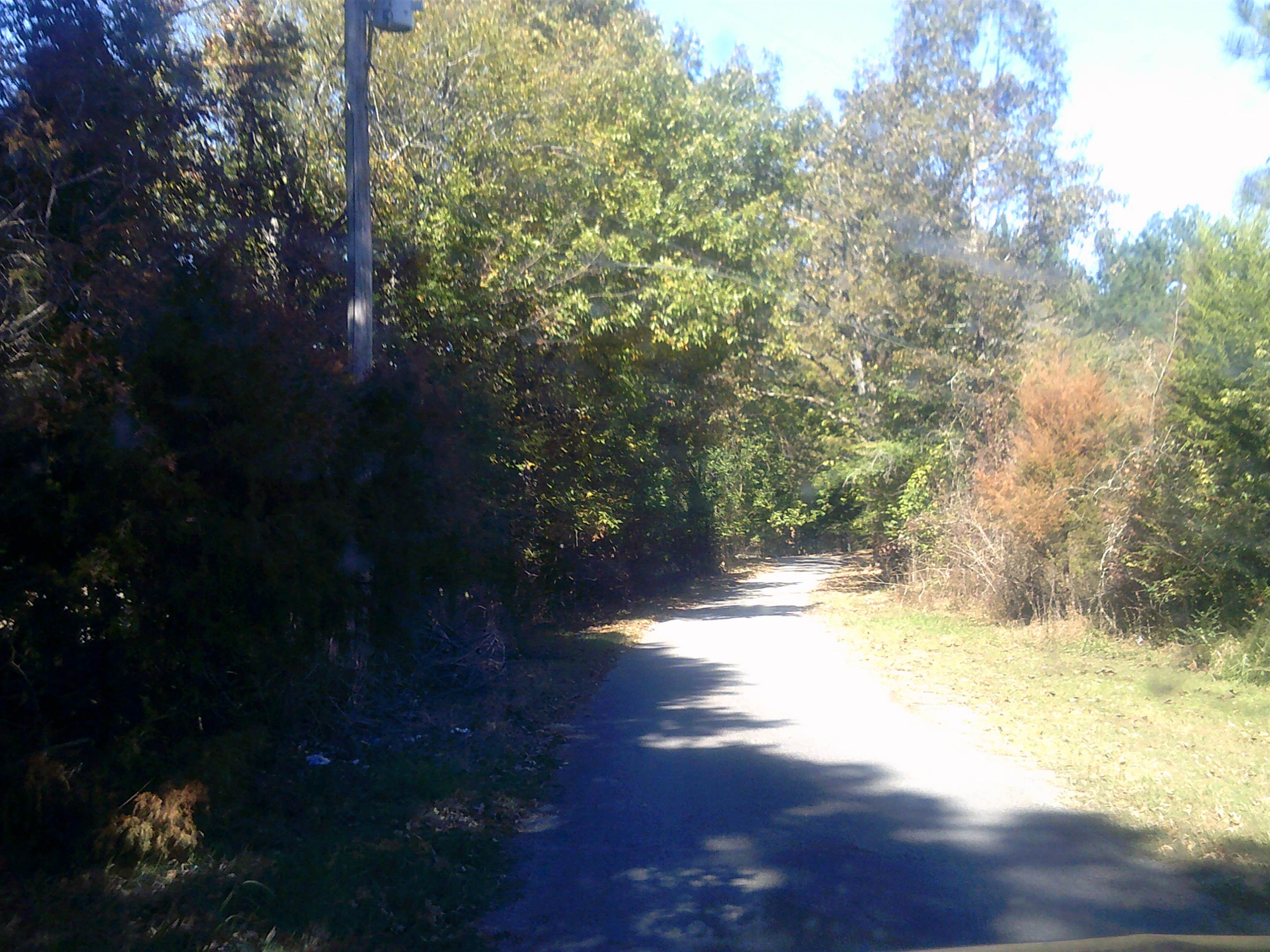 45 Cheairs Lane Grand Junction, TN 38039 - Photo 8 of 9 a view of lake background with green space