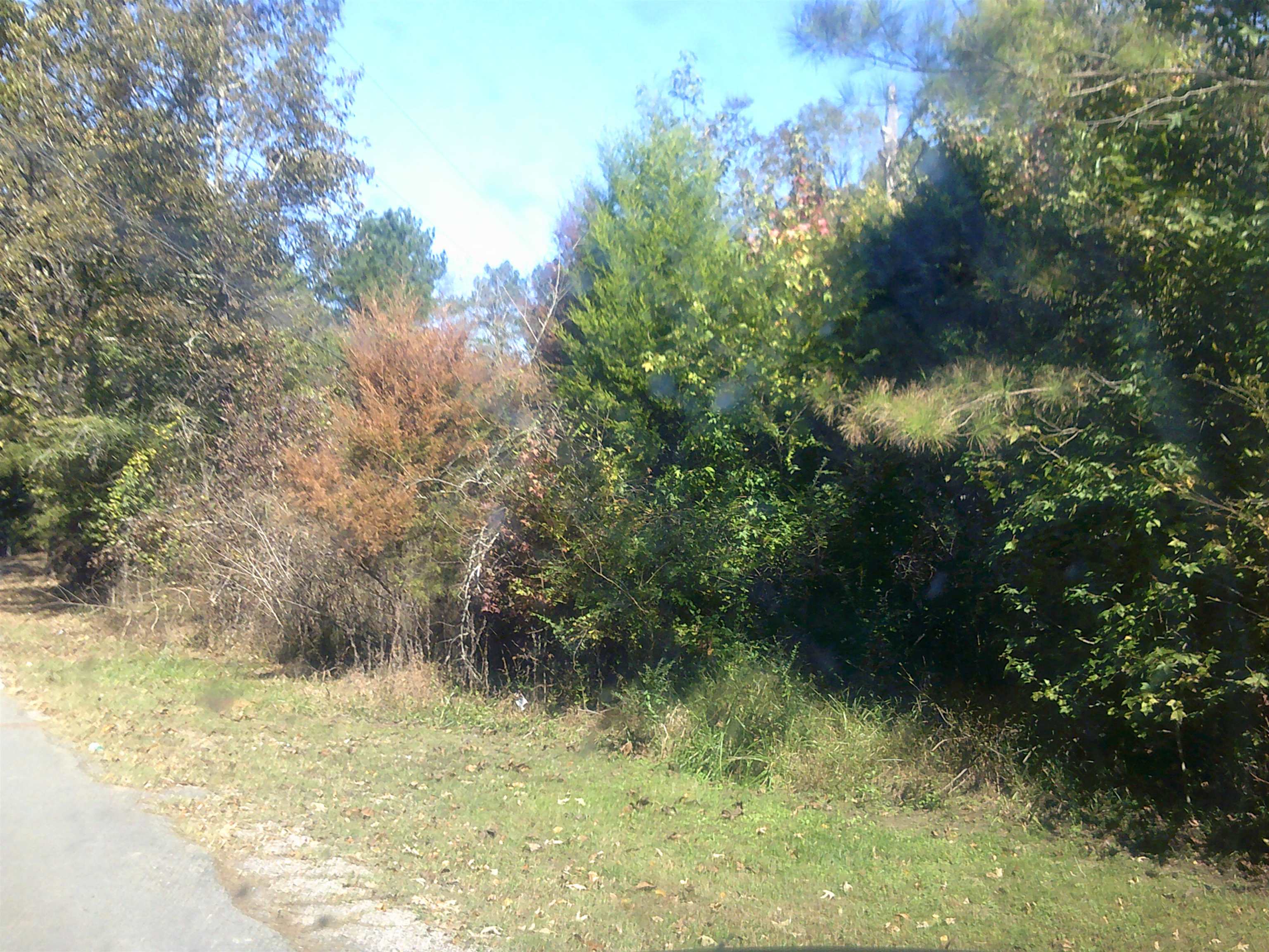 45 Cheairs Lane Grand Junction, TN 38039 - Photo 9 of 9 a view of a yard