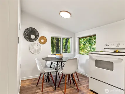 a view of a garden from a window