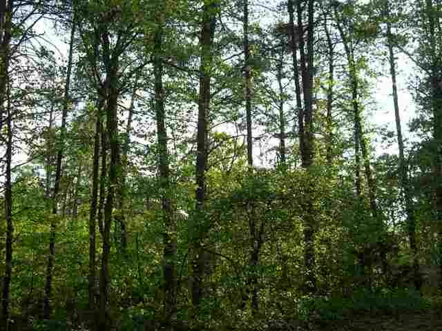 0 Jamison Road Central, SC 29630 - Photo 2 of 2