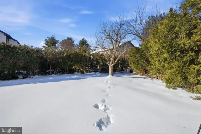 a view of a road with a yard