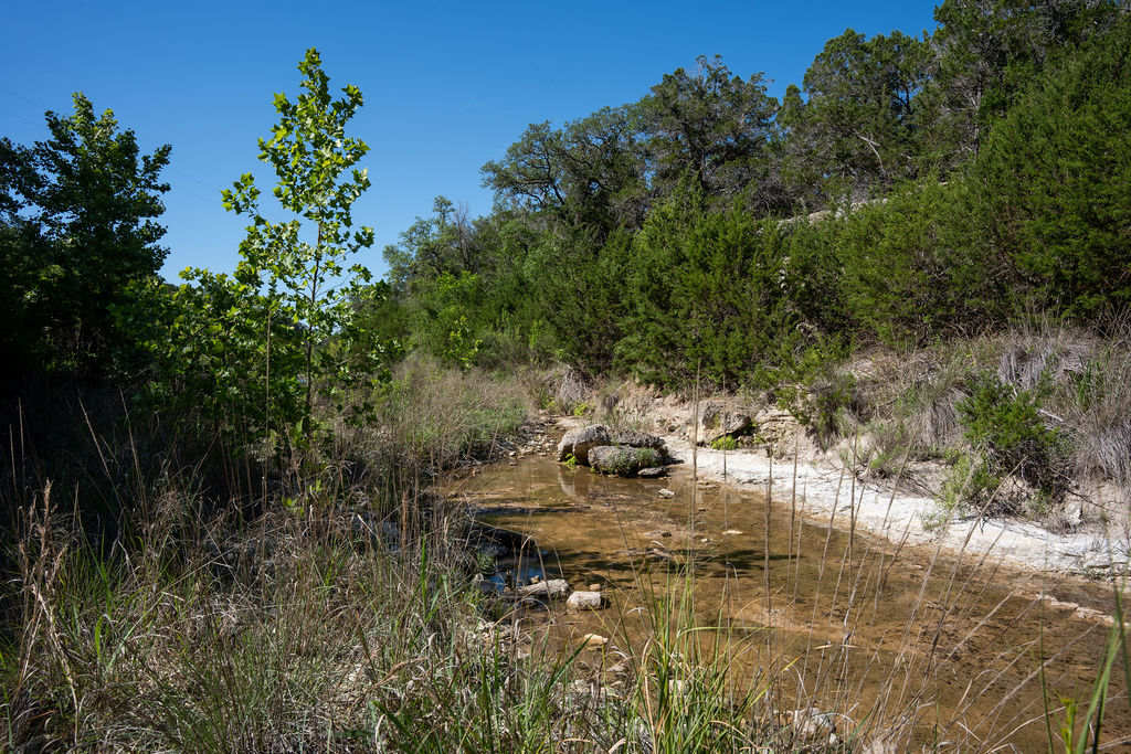 1294 Crabapple Road Blanco, TX 78606 - Photo 26 of 32