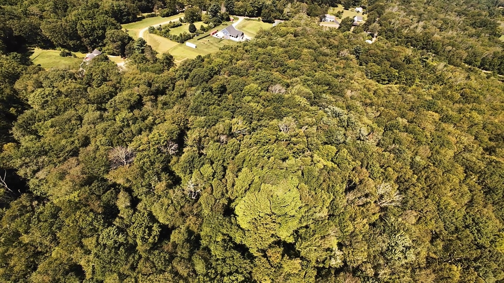 0 Federal Hill Road Oxford, MA 01540 - Photo 3 of 8 a view of a covered with green space