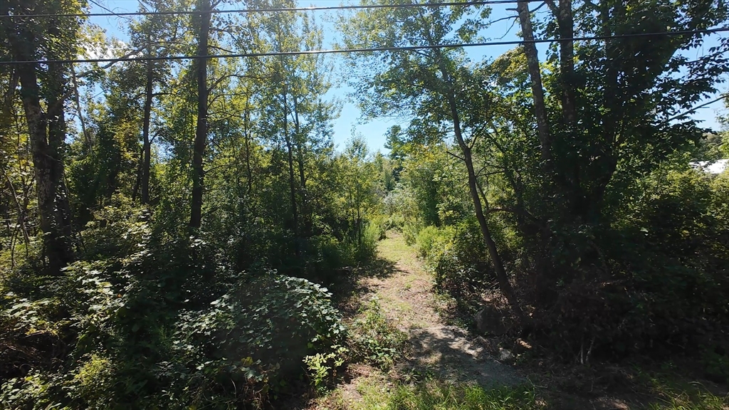 0 Federal Hill Road Oxford, MA 01540 - Photo 8 of 8 a view of a forest