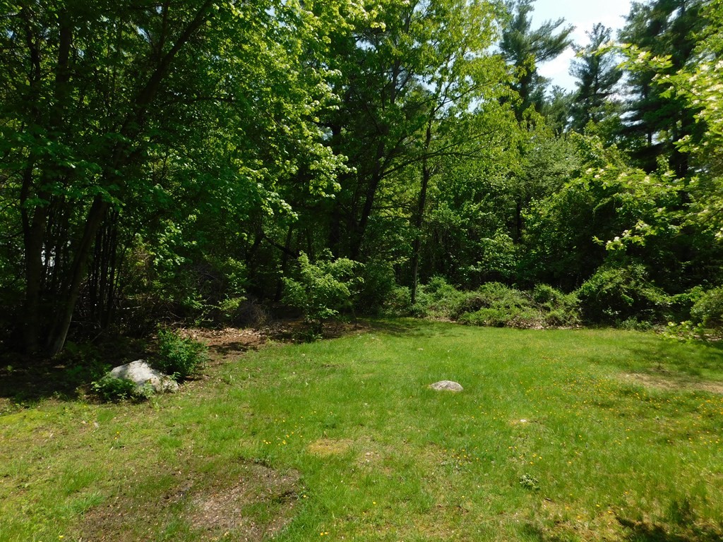 225 Rockingham Road Londonderry, NH 03053 - Photo 11 of 28 a view of a lush green space