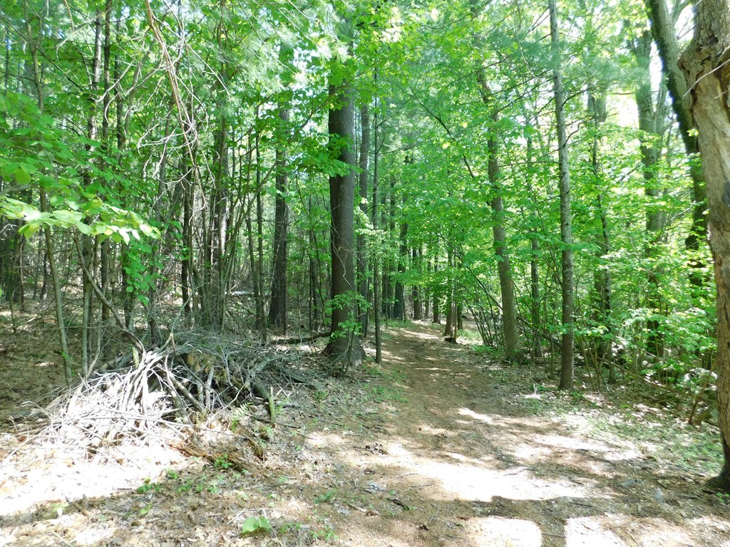 225 Rockingham Road Londonderry, NH 03053 - Photo 20 of 28 a view of outdoor space with trees