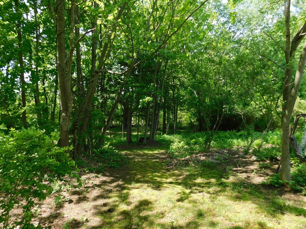 225 Rockingham Road Londonderry, NH 03053 - Photo 24 of 28 a backyard of a house with lots of green space