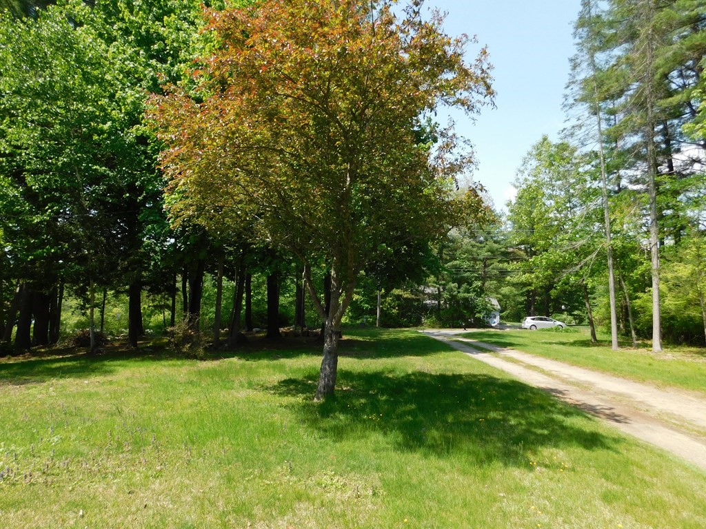 225 Rockingham Road Londonderry, NH 03053 - Photo 27 of 28 a backyard of a house with lots of green space