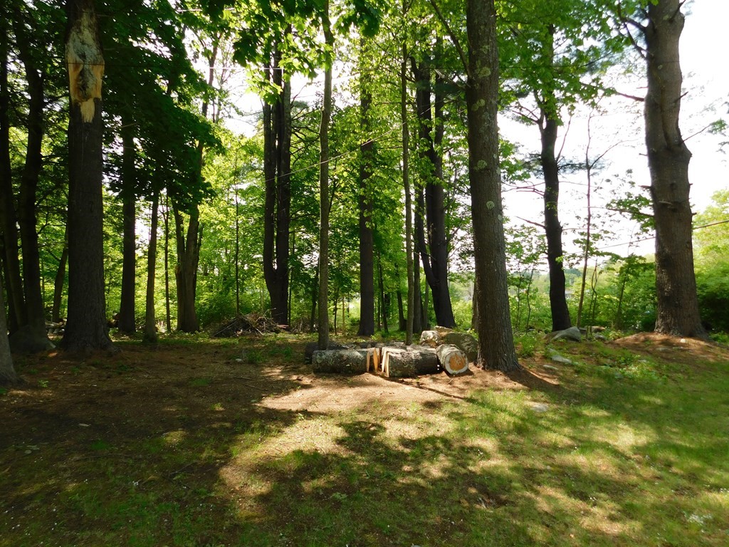 225 Rockingham Road Londonderry, NH 03053 - Photo 5 of 28 a backyard of a house with trees