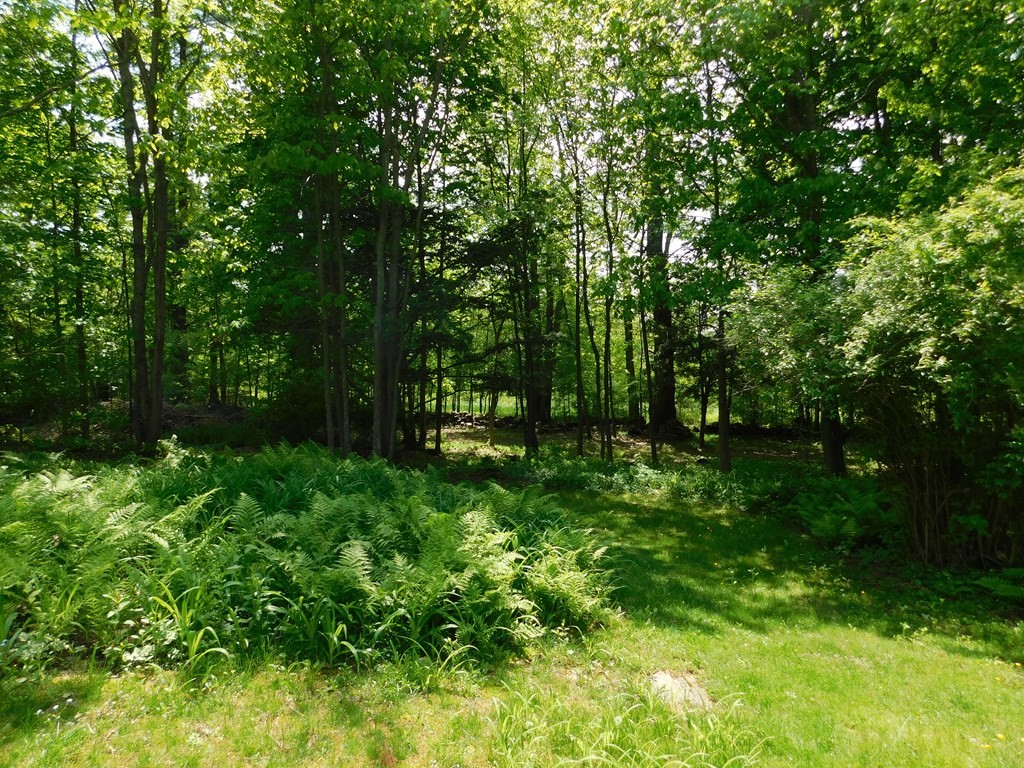225 Rockingham Road Londonderry, NH 03053 - Photo 9 of 28 a view of outdoor space and yard