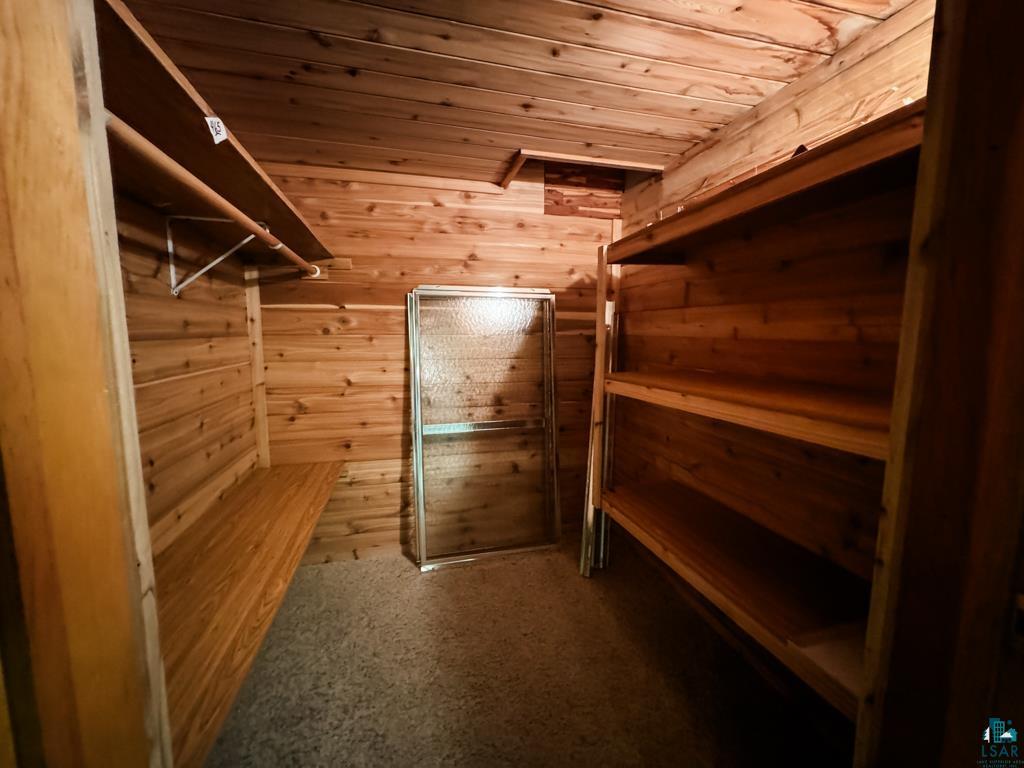 N13431 County Line Road Minong, WI 54859 - Photo 24 of 42 Walk in closet featuring carpet floors