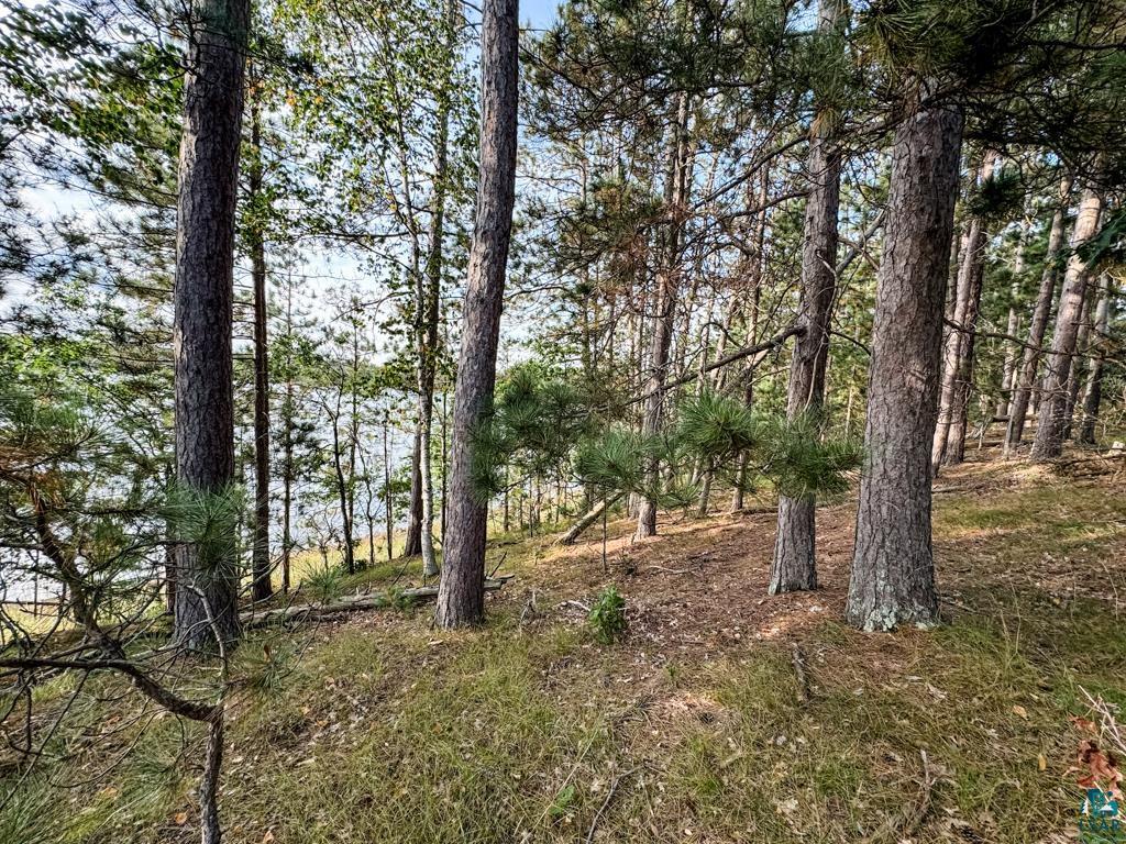 N13431 County Line Road Minong, WI 54859 - Photo 27 of 42 View of nature