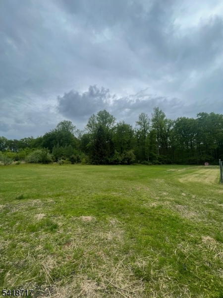 47 Britten Road Green Village, NJ 07935 - Photo 2 of 7